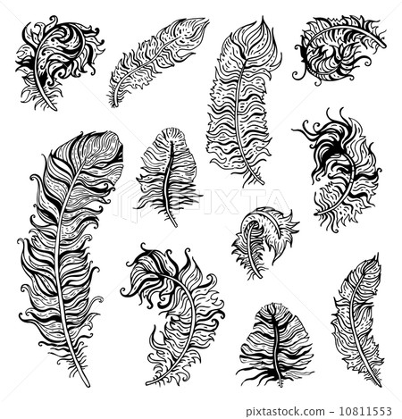 Feather Set 10811553