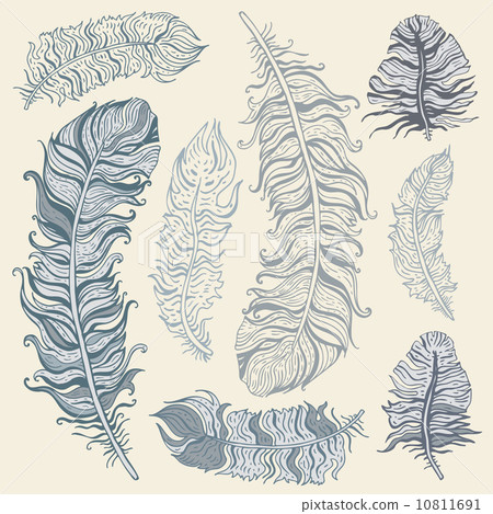 Feather Set 10811691