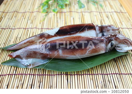 魷魚 魷魚 10812050