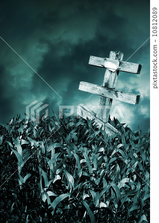 Halloween concept 10812089