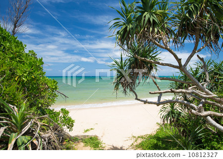 The sea of Okinawa 10812327