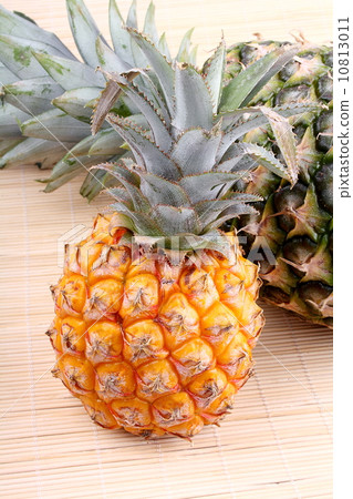 Baby pineapple in the background with big pineapple 10813011