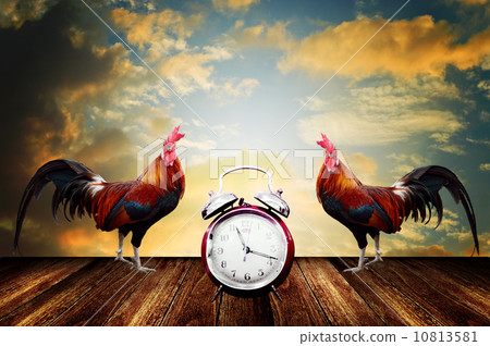 Wake up in the beautiful morning concept 10813581