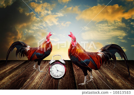 Wake up in the beautiful morning concept Wake up in the beautiful morning concept 10813583