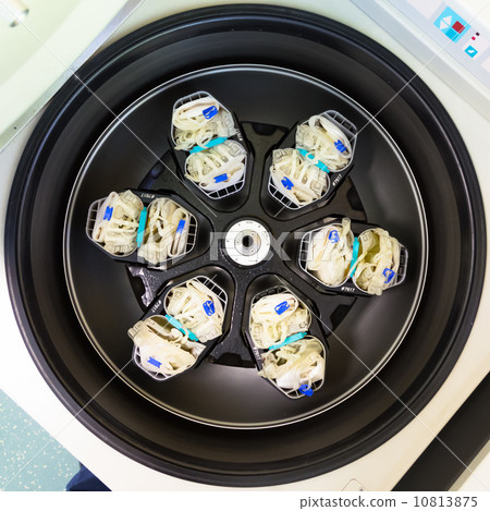 Separation of serum and blood cells in centrifuge. Separation of serum and blood cells in centrifuge. 10813875