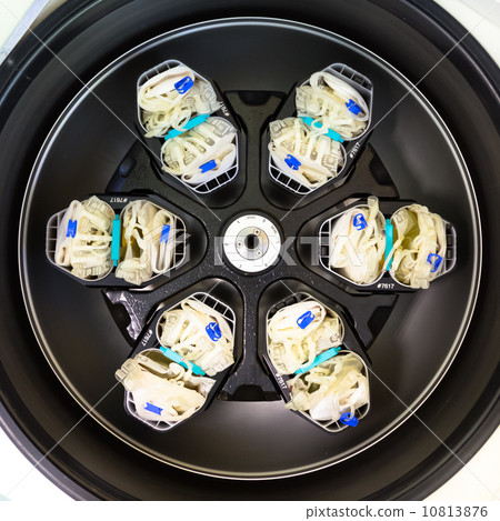 Separation of serum and blood cells in centrifuge. Separation of serum and blood cells in centrifuge. 10813876