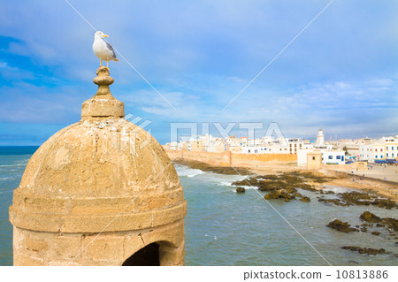 Essaouira - Magador, Marrakech, Morocco. 10813886