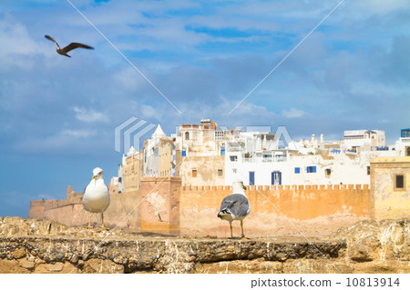 Essaouira - Magador, Marrakech, Morocco. 10813914