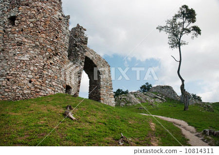 Ruin of castle Hrusov and lone tree Ruin of castle Hrusov and lone tree 10814311