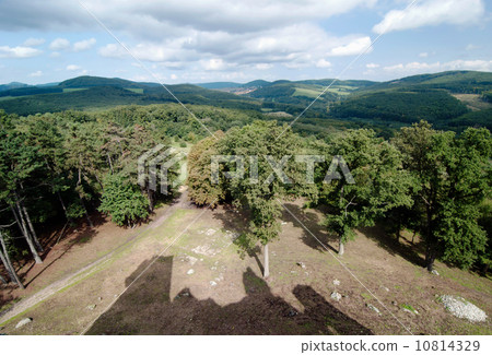 Forest and shadow of castle on the meadow Forest and shadow of castle on the meadow 10814329