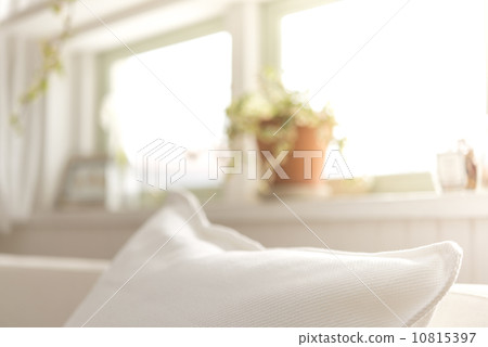 Bright room cushion 10815397
