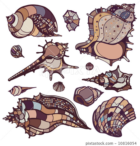 Sea shells set. Sea shells set. 10816054