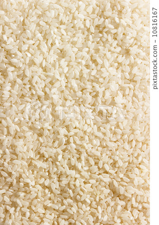 rice grains background 10816167