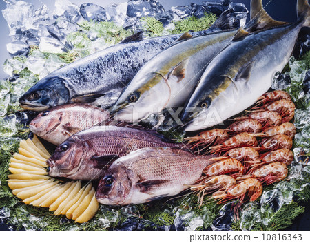 Collection of fresh fish, seafood, yellowtail, salmon, sea bream, herring roe and shrimp, image material 10816343