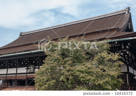 Kyoto Imperial Palace Shrine Plaza Cherry Blossoms 10816372