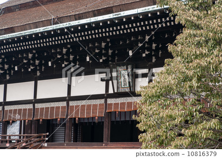 京都御所 京都御所 10816379