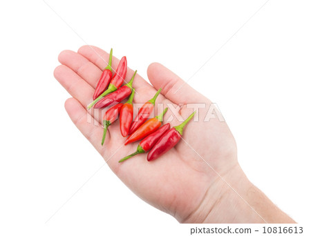 Paprika red pepper in hand for cooking. For spices. Paprika red pepper in hand for cooking. For spices. 10816613