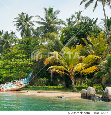 lake, tropical palms and  boat 10816863