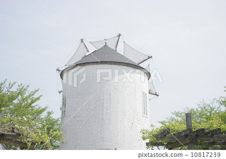 Youthful South Village with windmill Youthful South Village with windmill 10817239