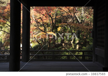 秋葉_鎌倉·Myoji寺 秋葉_鎌倉·Myoji寺 10817583