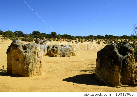 91276 Perth Pinnacles 10818066