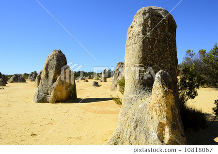 91277 Perth Pinnacles 10818067