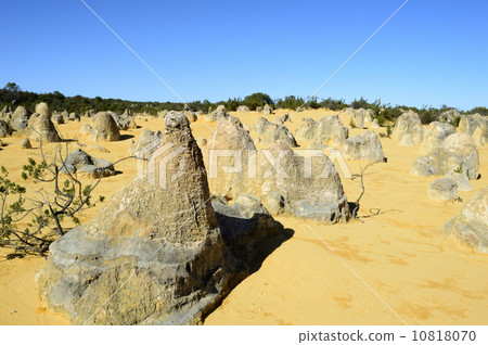 91280 Perth Pinnacles 10818070