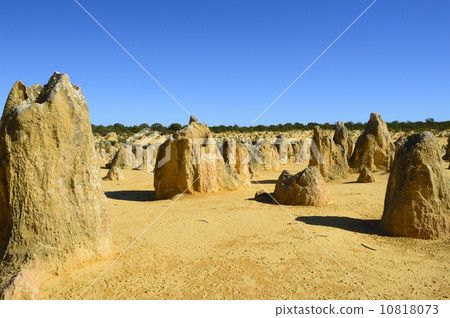 91283 Perth Pinnacles 10818073