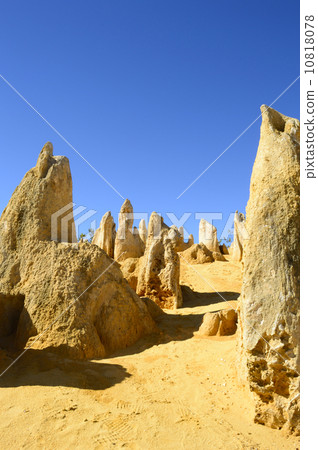 91288 Perth Pinnacles 10818078