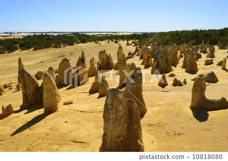 91290 Perth Pinnacles 10818080