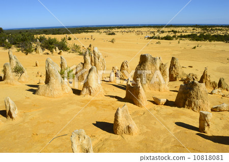 91291 Perth Pinnacles 10818081