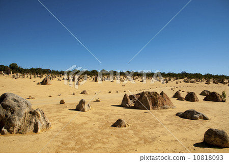 91303 Perth Pinnacles 10818093