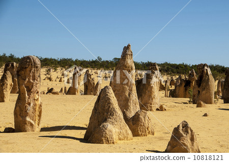 91308 Perth Pinnacles 10818121