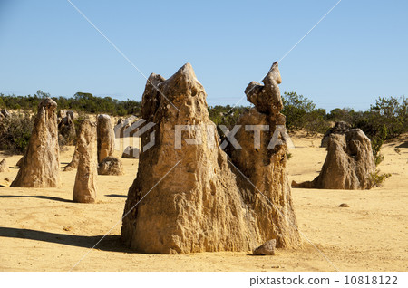 91309 Perth Pinnacles 10818122