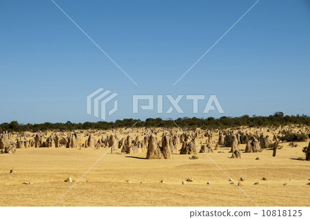 91312 Perth Pinnacles 10818125