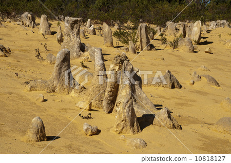 91314 Perth Pinnacles 91314 Perth Pinnacles 10818127