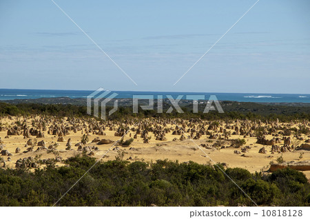 91315 Perth Pinnacles 10818128