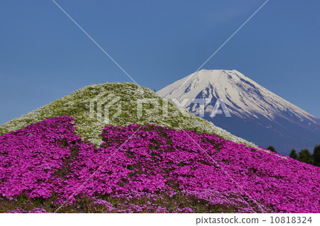 Mount Fuji and Shibaura Fuji 10818324