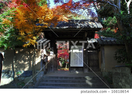 京都Rengei籍寺廟風景看法 10818654