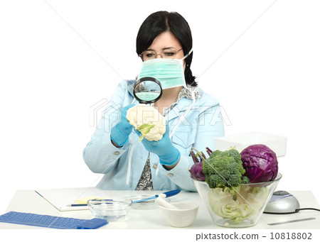 Expert viewing closely a cauliflower in laboratory Expert viewing closely a cauliflower in laboratory 10818802