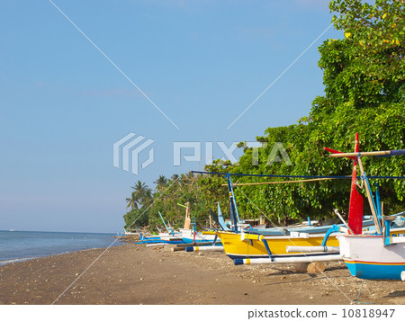 Bali island coast 10818947
