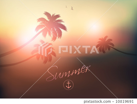 Paradise Island-Palm Tree Sunset Paradise Island-Palm Tree Sunset 10819691