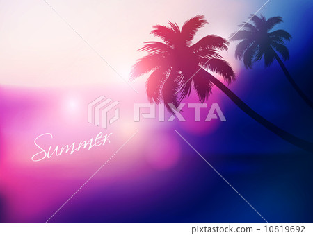 Paradise Island-Palm Tree Sunset  10819692