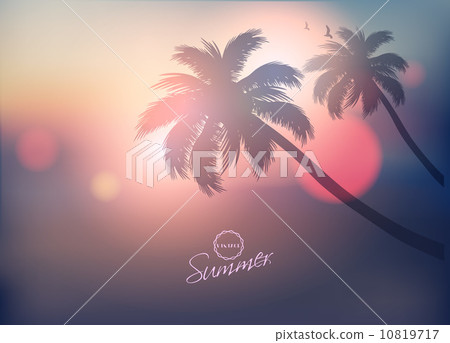 Paradise Island-Palm Tree Sunset  10819717