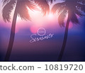 Paradise Island-Palm Tree Sunset  10819720