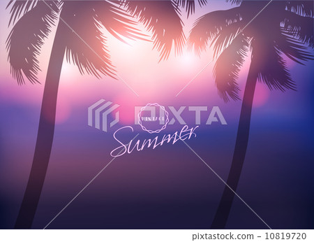 Paradise Island-Palm Tree Sunset Paradise Island-Palm Tree Sunset 10819720