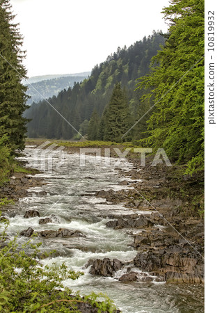 Summer mountain landscape in the Alps Summer mountain landscape in the Alps 10819932
