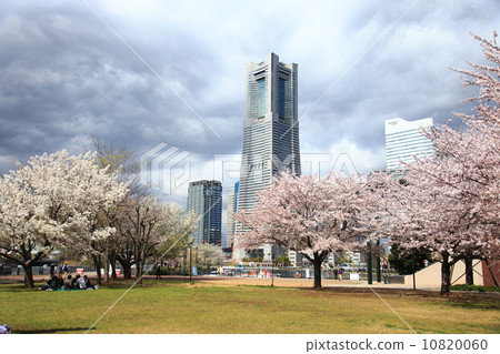 Premonition of spring storm 10820060