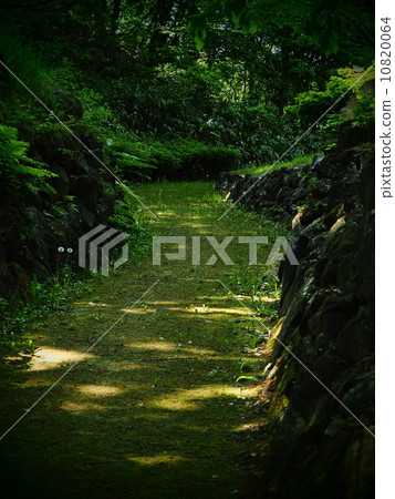 road  10820064
