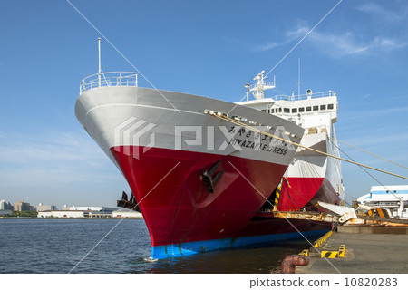 Large Ferries 10820283